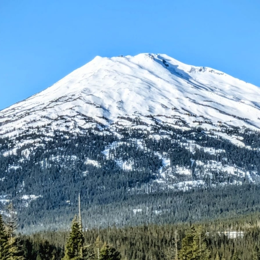 Consignment Ended: Not Available